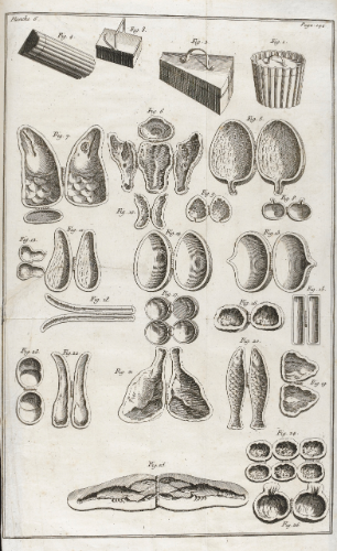 An illustration of ice cream moulds from Joseph Gilliers' book Le Cannameliste français that can be used with this parmesan cheese ice cream recipe.