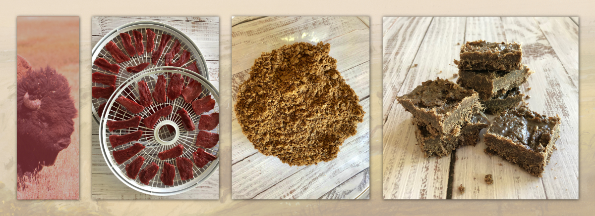 graphic showing a bison head, sliced bison meat, powdered dried meat and pemmican bars